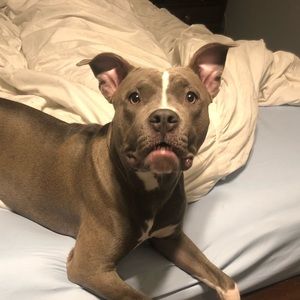 Meet your Posher, Justin